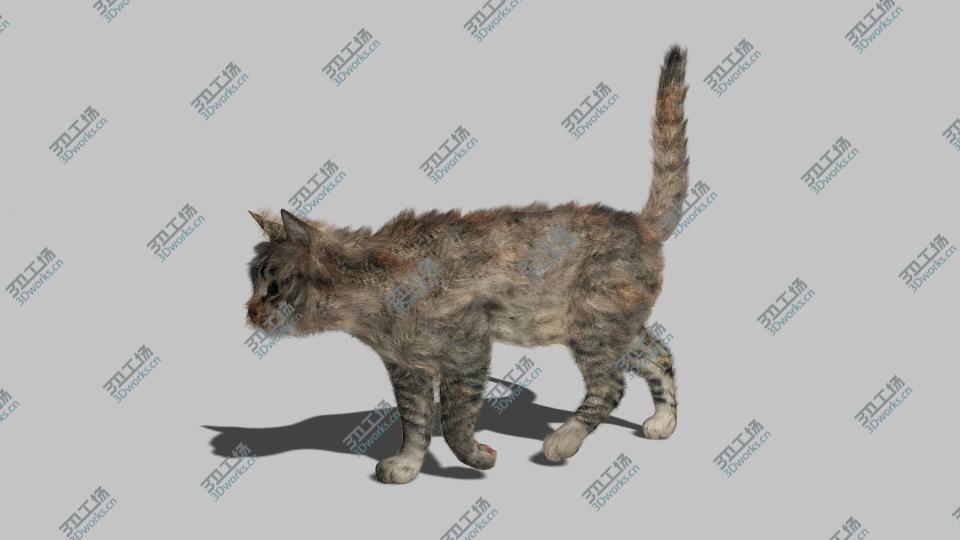 images/goods_img/202104092/Cat - Rigged, Animated 3D/1.jpg